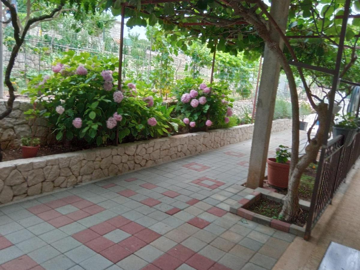 Apartment Tea-1 Donji Okrug  Exterior foto